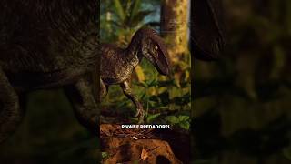 CONHEÇA O OMNIRAPTOR UTAHRAPTOR DO THE ISLE theisle dinosaur jurassicpark velociraptor paleo [upl. by Aneerb]