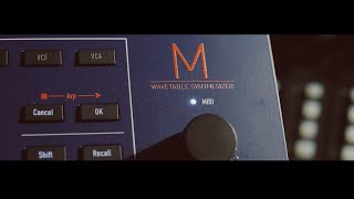 Waldorf M  Demo [upl. by Weslee488]