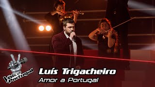 Luís Trigacheiro  quotAmor a Portugalquot  Final  The Voice Portugal [upl. by Kathrine]