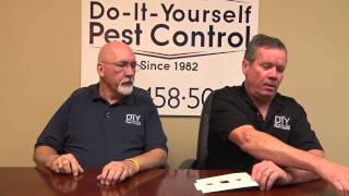 Get Rid of Drain Flies  Drain Fly Control Products [upl. by Livia]