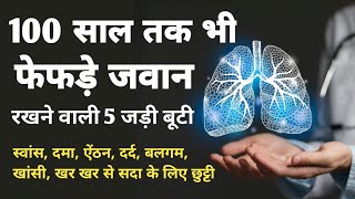 फेफड़े जवान तो शरीर जवान  Strong lungs  AyurNitin Ayurveda [upl. by Anelet]