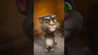 Ttom talkingtom cat funny mytalkingtom cute tomtalk [upl. by Doak]