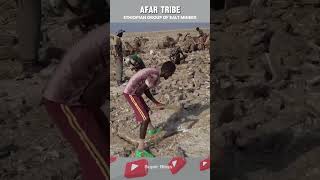 Afar Tribe a tribe that works hard but is paid cheaply [upl. by Segal]