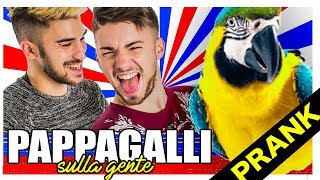 PAPPAGALLI SULLA GENTE  Matt amp Bise [upl. by Erehc]