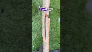 Como consertar cabos de vassouras 🧹 quebrados 👏😱 dicas tools diy shorts [upl. by Yllib521]