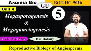 Megasporogenesis amp Megagametogenesis Enbryo Sac Reproductive BiologyBsc Botany5th semAxomia Bio [upl. by Rimola543]