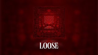 Dadju amp Tayc  LOOSE Lyrics video [upl. by Ahsital359]