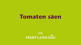 Tomaten säen und vorziehen [upl. by Flita]