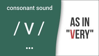 Consonant Sound  v  as in quotveryquot – American English Pronunciation [upl. by Annoek211]