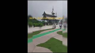 Visting White Buddha Temple in Bodhgaya Biharbodhgaya buddhatemple gaya visiting ytvideo [upl. by Aldos]