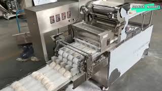 Automatic Noodle Cutting and Rollingup Machine [upl. by Viviane808]