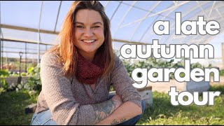 A November Garden Tour Low Expectations in a Warm Fall Garden [upl. by Brindell117]