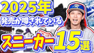 【スニーカー】すでにやばい！！来年2025年に発売が噂されているスニーカー 15選 [upl. by Eedissac122]