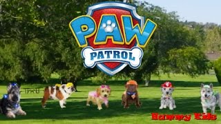 Paw Patrol Real Life Pups [upl. by Portingale554]