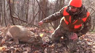 Heavy Hardwoods 8 Point Rifle Buck [upl. by Fleeman]