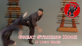 Great Striking Hook O Uchi Gake [upl. by Geier]