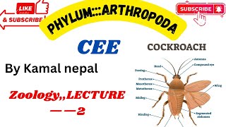 Phylum Arthropodalecture2 by best teacher with notes and instructions [upl. by Aihsirt]