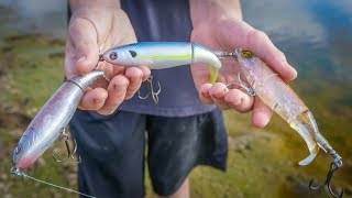 Whopper Plopper TRAIN Fishing Challenge [upl. by Adnir]