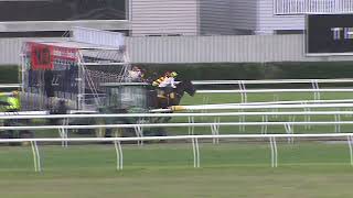 Heat 3  Doomben Jumpouts 08112023 [upl. by Mccourt220]