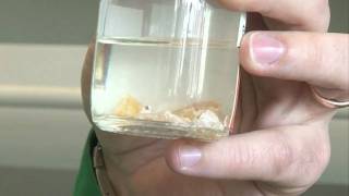 White Phosphorus amp Phosphorus Pentoxide  Periodic Table of Videos [upl. by Nehgaem]