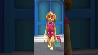 Skye Runs Away From Home Shorts funny animation [upl. by Aicilanna]