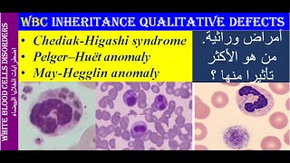 Lecture 3 1 Qualitative Defects of the WBC [upl. by Haldi222]