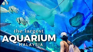 Aquaria KLCC Kuala Lumpur  The Best Aquarium in Malaysia [upl. by Bowyer]