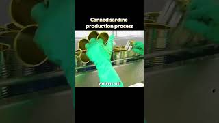 Canned Sardines Production Process  🤷‍♂️ shortvideo viralvideo food airplanechefs [upl. by Aihsyn]