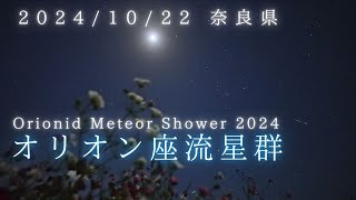 20241022 極大翌日のオリオン座流星群の夜、コスモス畑。34個の流れ星を撮影│Orionid Meteor Shower│リアルタイム星空動画│SONY α7SIII [upl. by Laurianne367]