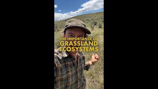 The Importance of Grassland Ecosystems [upl. by Benjamin704]