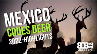 SONORA MEXICO 2022 COUES HUNT  PREVIEW AND HIGHLIGHTS  BBAZ Outdoors [upl. by Nylassej]