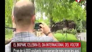 Canal 9 quotBioparc celebra el Día internacional del Buitrequot [upl. by Yelahs]