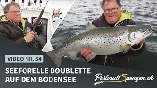 Seeforelle Doublette auf dem Bodensee [upl. by Atiuqcaj]