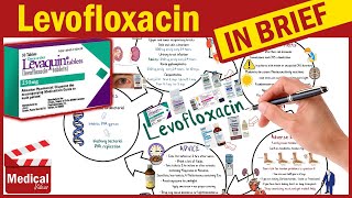 Levofloxacin  Levaquin  What is Levofloxacin Used For Dosage Side Effects amp Precautions [upl. by Mcmahon994]