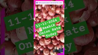 11112024 Nashik Onion Rate Today  Green Source redonion Nashiko nion onionexport [upl. by Ytsirk]