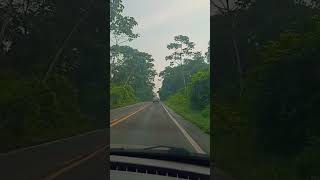 Reserva dos Índios Pará paisagem estrada youtubeshorts [upl. by Nitsirhc]