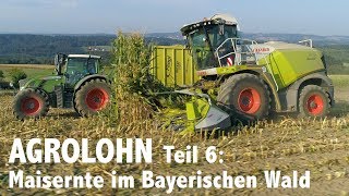 Lohnunternehmen Agrolohn Maisernte im Bayerischen Wald [upl. by Airamahs]