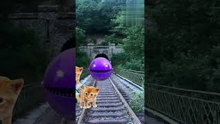 Pacman attack the dog 🐕🐶 funny videoviralvideotrandingshortsshortsvideo [upl. by David701]