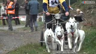 Faszination Hunderennen in Balzers [upl. by Leda]