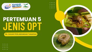 PERTEMUAN 5 JENIS ORGANISME PENGGANGGU TANAMAN  MK DASAR PERLINDUNGAN TANAMAN [upl. by Haerdna]