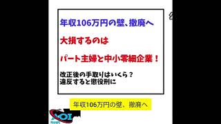 【超最速】年収106万円の壁撤廃 パート 主婦と中小零細企業は大損 手取りは 【会社員・配偶者・扶養家族・個人事業フ リーランス社会保険・厚生年金週20時 間】 [upl. by Leiahtan511]