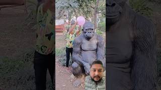 Balloons challenge with gorilla elephant animals zoo funny balloon shorts trendingshorts [upl. by Cindy]