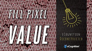 eCognition Deconstructed Fill Pixel Values [upl. by Erialcyram609]