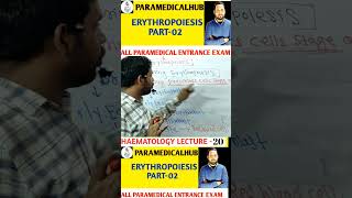 haematology mlt haematopoiesis haemopoiesis formationofblood bmlt bmltlecture bloodcell [upl. by Pine]