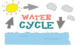 Water Cycle  The 3 phases Explained  Water Cycle Animation for Kids [upl. by Harima]