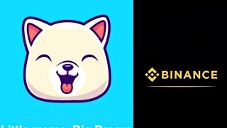 KISHU INU WILL LIST ON BINANCE EXCHANGE  kishu inu news today 100x by this year [upl. by Oremar864]