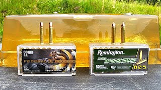 Federal Speer TNT 22WMR vs Remington Accutip 22WMR Ballistic Gel Test [upl. by Pestana]