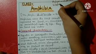 Class Amphibia Characters and classification [upl. by Hamner]