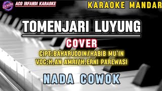 TOMENJARI LUYUNG  COVER KARAOKE  NADA COWOK [upl. by Yenitirb]