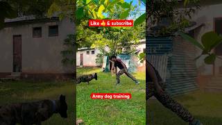 Military dog training techniques🇮🇳✅ youtubeshorts shortvideo shortsfeed germanshepherd [upl. by Martita267]